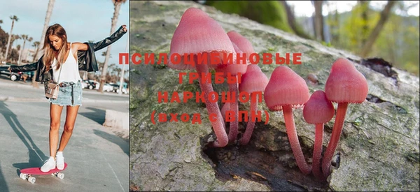 apvp Наволоки